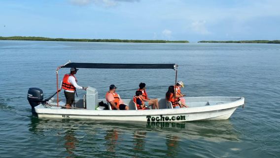 flamingo tour in Rio Lagartos, Yucatan 3 hours