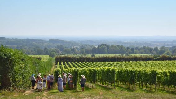 Kent: Yotes Court Weinbergtour und Verkostung