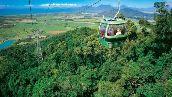 Trải nghiệm khứ hồi cáp treo Skyrail Rainforest