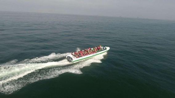 Von Paracas||Ballestas-Inseln + Paracas-Nationalreservat