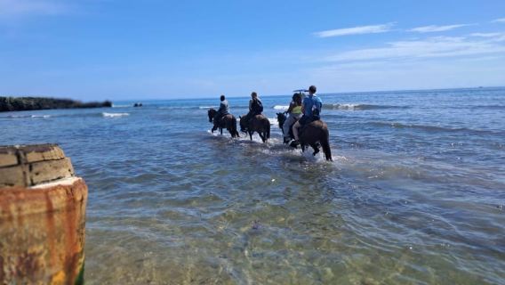Escursione a cavallo a Roatan con Wildlife Eco-Park e snorkeling