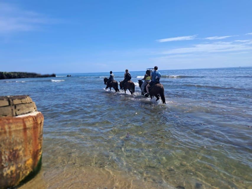 Paseo a caballo en Roatán con ecoparque de vida silvestre y esnórquel