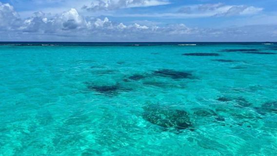 Aventura en barco a la Isla Saona y Canto de la Playa