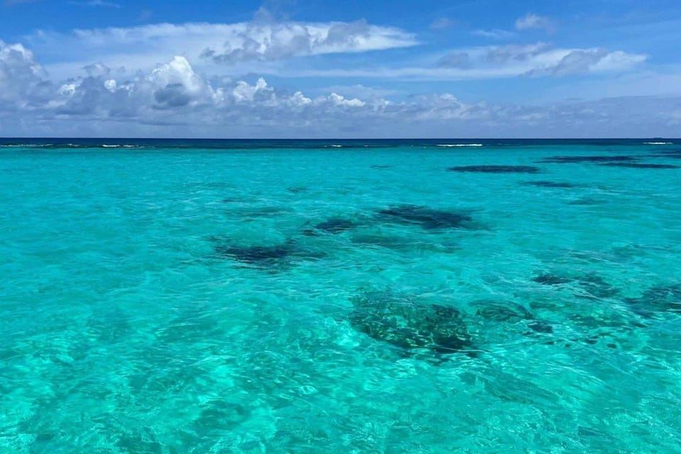 索納島和 Canto de la Playa 乘船探險