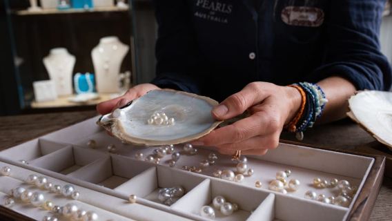 De la concha a la sala de exposición: la única experiencia de granja de perlas de Sídney