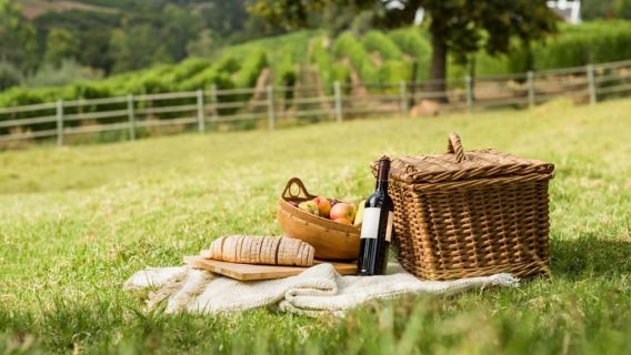 Half-day Hills Experience to San Gimignano with Pic Nic Wine