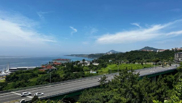 済州島：西帰浦市中文エリア散策ツアー