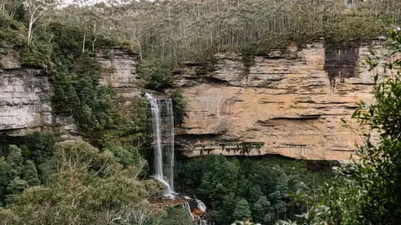 雪梨：藍山風景世界、野生動物園和午餐