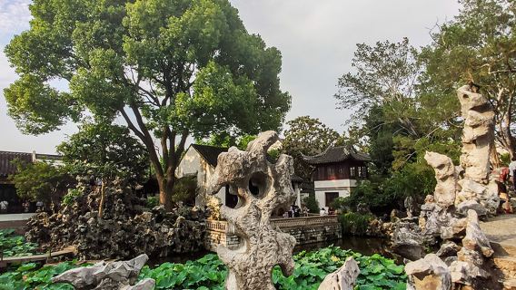 蘇州拙政園+獅子林 猩咖說|私家團|門票+文史大咖講解 3H（拙政園2H，獅子林1H）