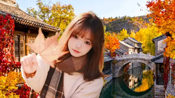 坡峰嶺一日遊●贈紅葉標本|紅葉季尾聲&錯過等一年&純玩周邊遊