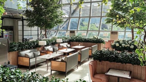 [Official] Coral Lounge General Pass - Thailand International Airport