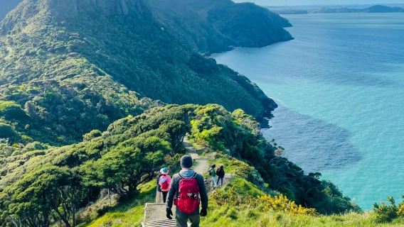紐西蘭奧克蘭市區網紅景點鳥島伊甸山、天空塔等-包車-精選行程