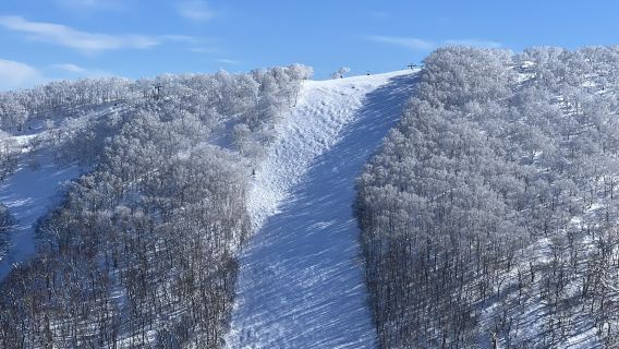 Private Ski Lessons in Rusutsu, Hokkaido [Officially Registered Ski School | Internationally Certified Instructors | Lessons in Chinese/English]