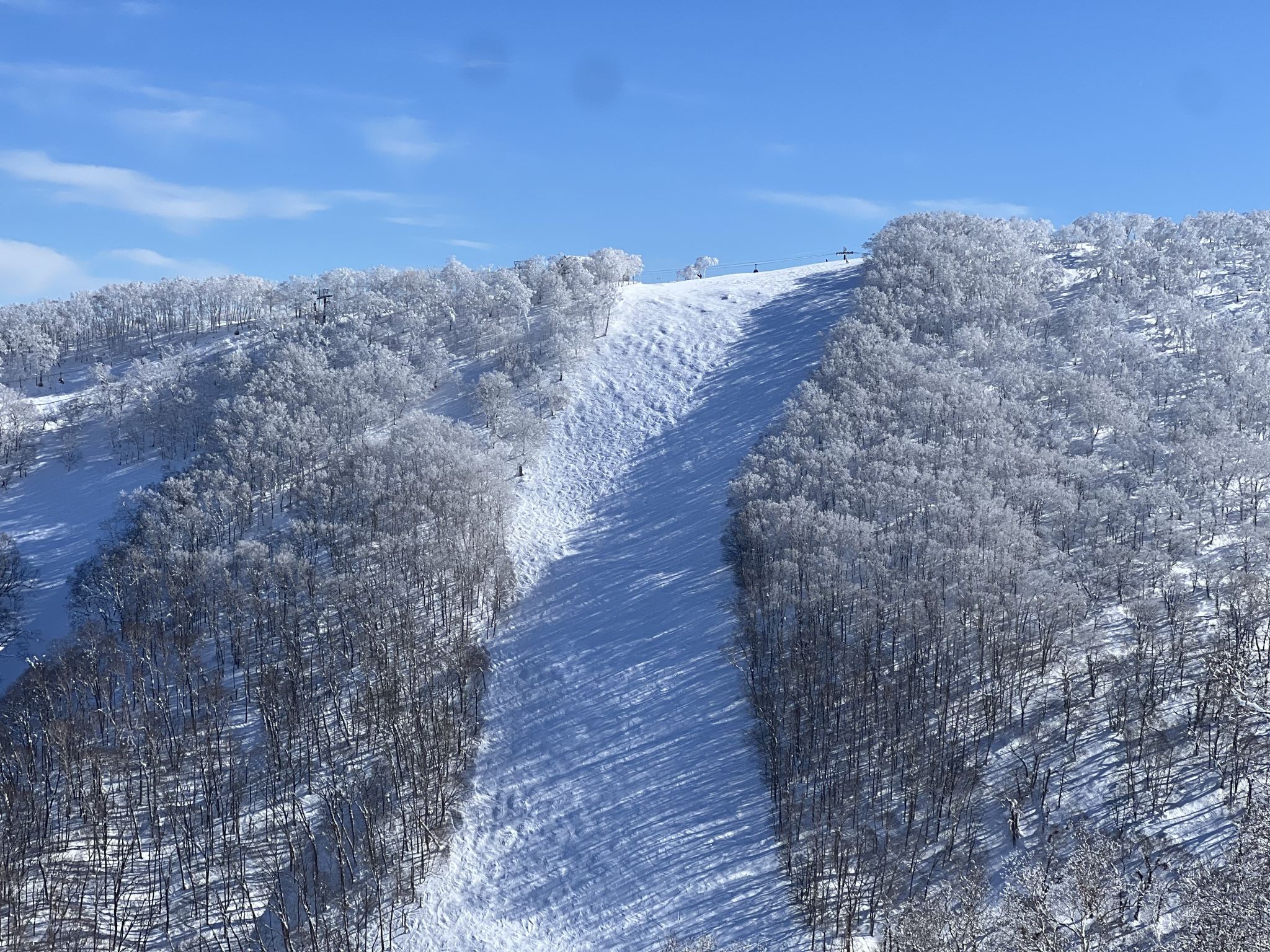 Private Ski Lessons in Rusutsu, Hokkaido [Officially Registered Ski School | Internationally Certified Instructors | Lessons in Chinese/English]
