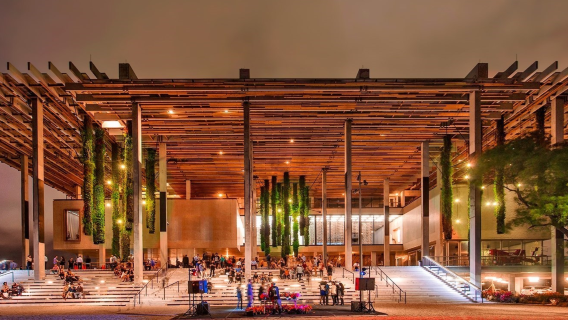 【邁阿密中文包車】小哈瓦那+第八街+南海灘+佩雷斯藝術博物館