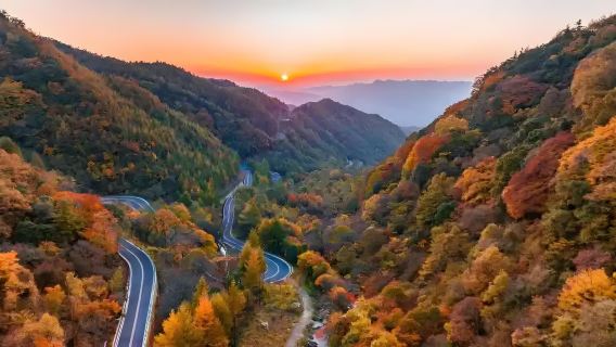 漢中-米倉山一日【2-6人私家團】-【含門票+景交車】