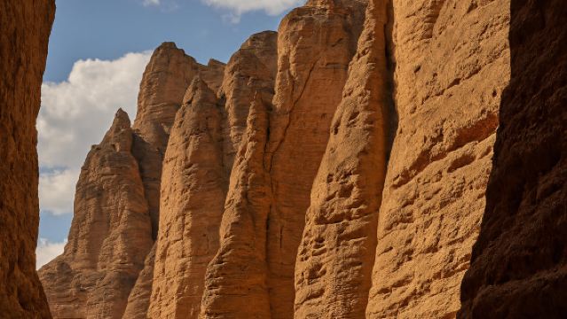 1-day tour to Yellow River Stone Forest to witness the spectacular landforms formed over hundreds of millions of years