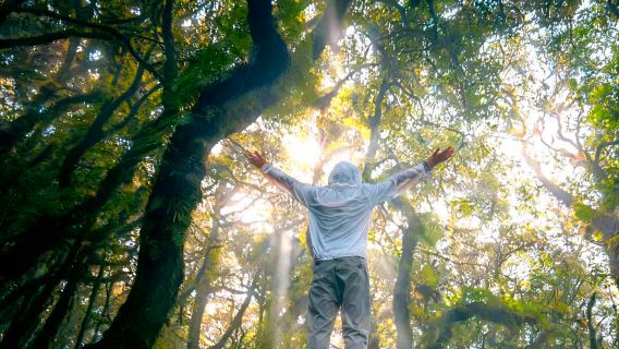 5-13 km hiking in Tengchong's Gaoligong Mountains (summit + furry tree forest + stream)