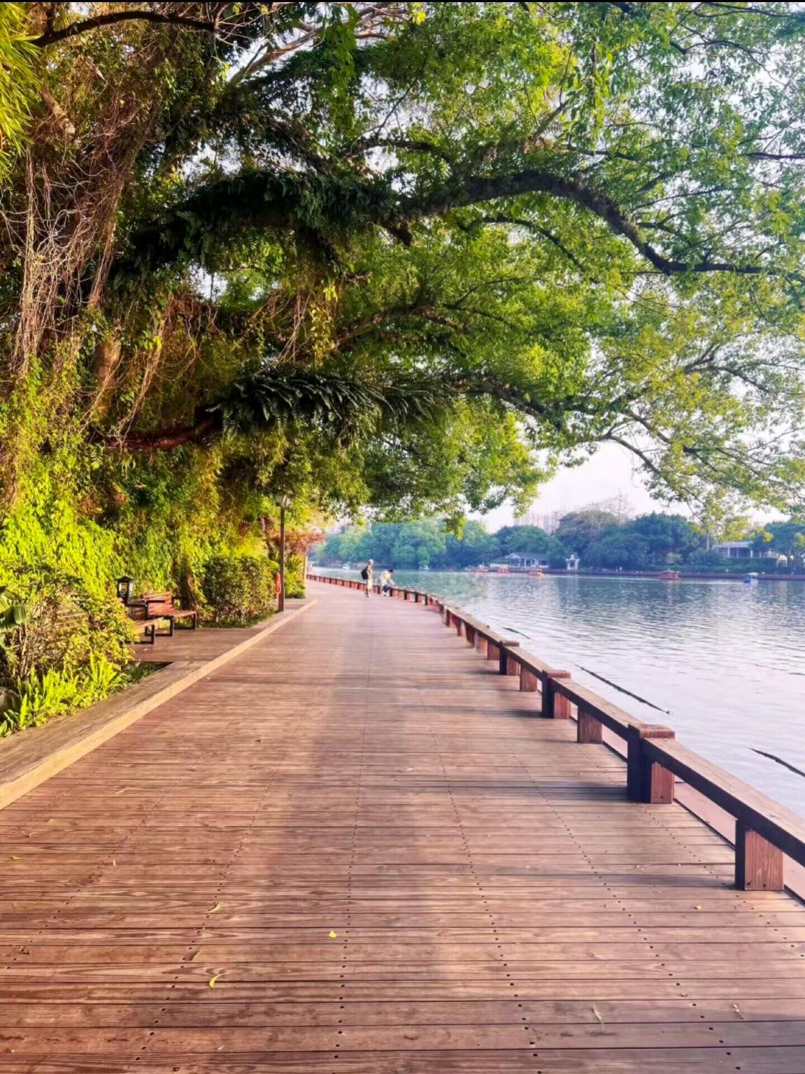 Fuzhou Lin Zexu Memorial + Fujian Museum + Three Lanes And Seven Alleys 1-day tour with bilingual service (Chinese/English)