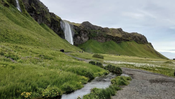 冰島雷克雅未克-辛格韋德利【專車出行-愜意舒適】