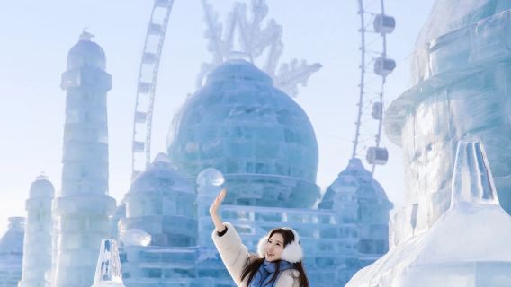 Rue centrale + Cathédrale Sainte-Sophie + Parc des tigres de Mandchourie + Parc polaire + Monde des glaces et des neiges - 1 jour en voiture avec chauffeur