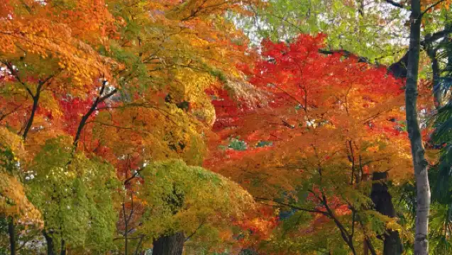 杭州山水禪宗一日遊【飛來峰+靈隱寺+西湖遊船+雷峰塔】
