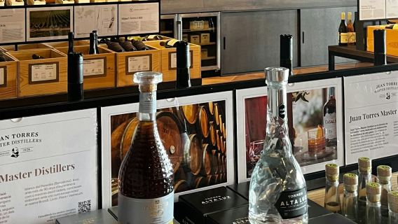 Barcelona: Tur Berpemandu ke Perkebunan Anggur Familia Torres + Pencicipan Anggur