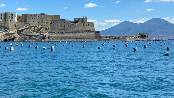 Nápoles: Paseo en barco + Parada para nadar + Audioguía