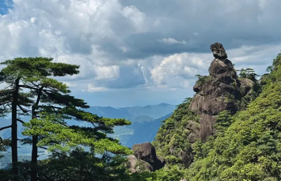 江西上饒望仙谷+三清山包車一日遊可中英文服務