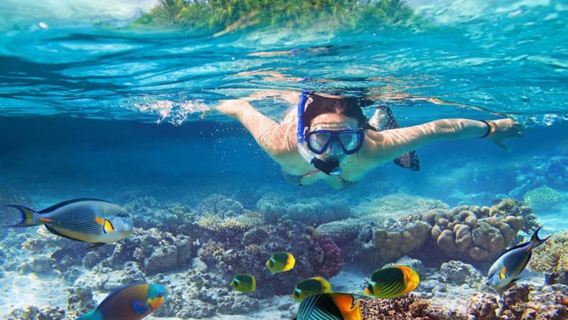 Pengembaraan Snorkeling Persendirian Bali Blue Lagoon dan Tanjung Jepun – Terumbu, Karang, dan Ikan Tropika