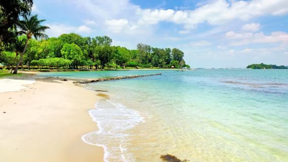 Singapore Private Charter Highlights 1-Day Tour: ArtScience Museum + Island Leisure + Marina Bay Light Show