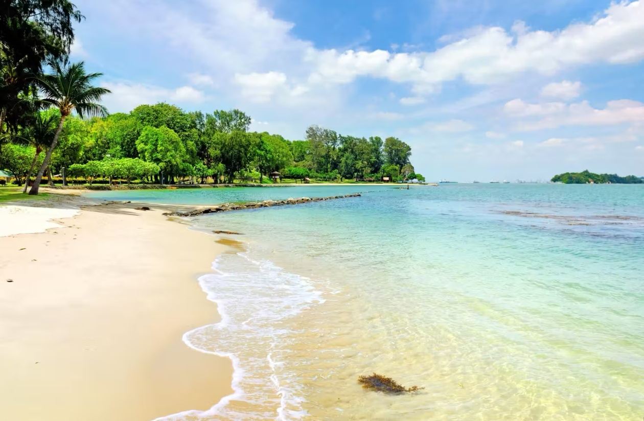 Singapore Private Charter Highlights 1-Day Tour: ArtScience Museum + Island Leisure + Marina Bay Light Show