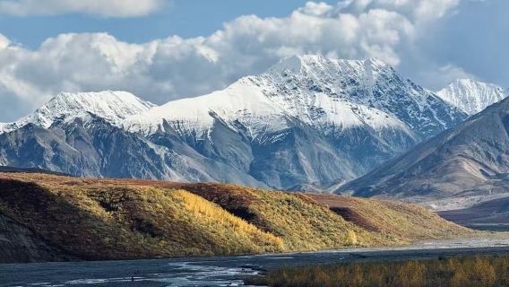 美國費爾班克斯迪納利國家公園+第49州啤酒廠打卡【中文包車】