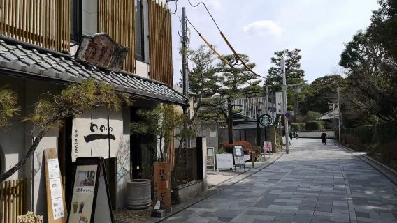 Pabellón Dorado + Templo Kiyomizu-dera + Templo Hōkan-ji + Avenida Byodo-in Omotesando|Itinerario ajustable|