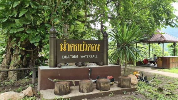 Namtok Bua Tong-Nam Phu Chet Si National Park Sticky Waterfall Half-day Tour