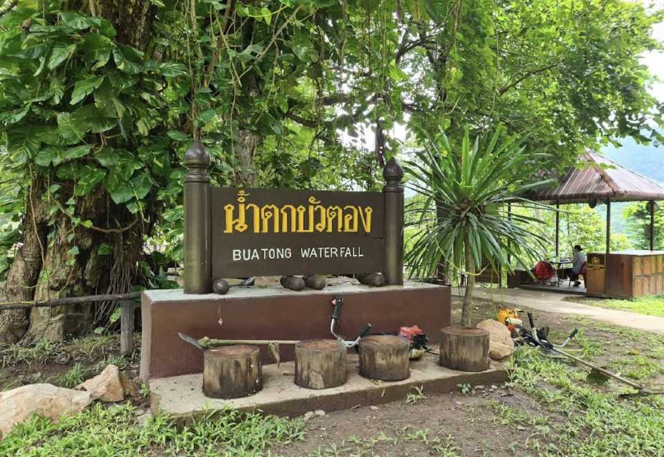 Namtok Bua Tong-Nam Phu Chet Si National Park Sticky Waterfall Half-day Tour