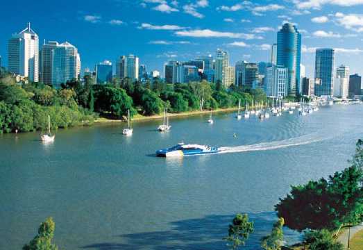 [Cuddle Australian Icons] Lone Pine Koala Sanctuary + Brisbane River Cruise [Optional one-way/round-trip, can add Lone Pine Koala Sanctuary... AUD 67.35