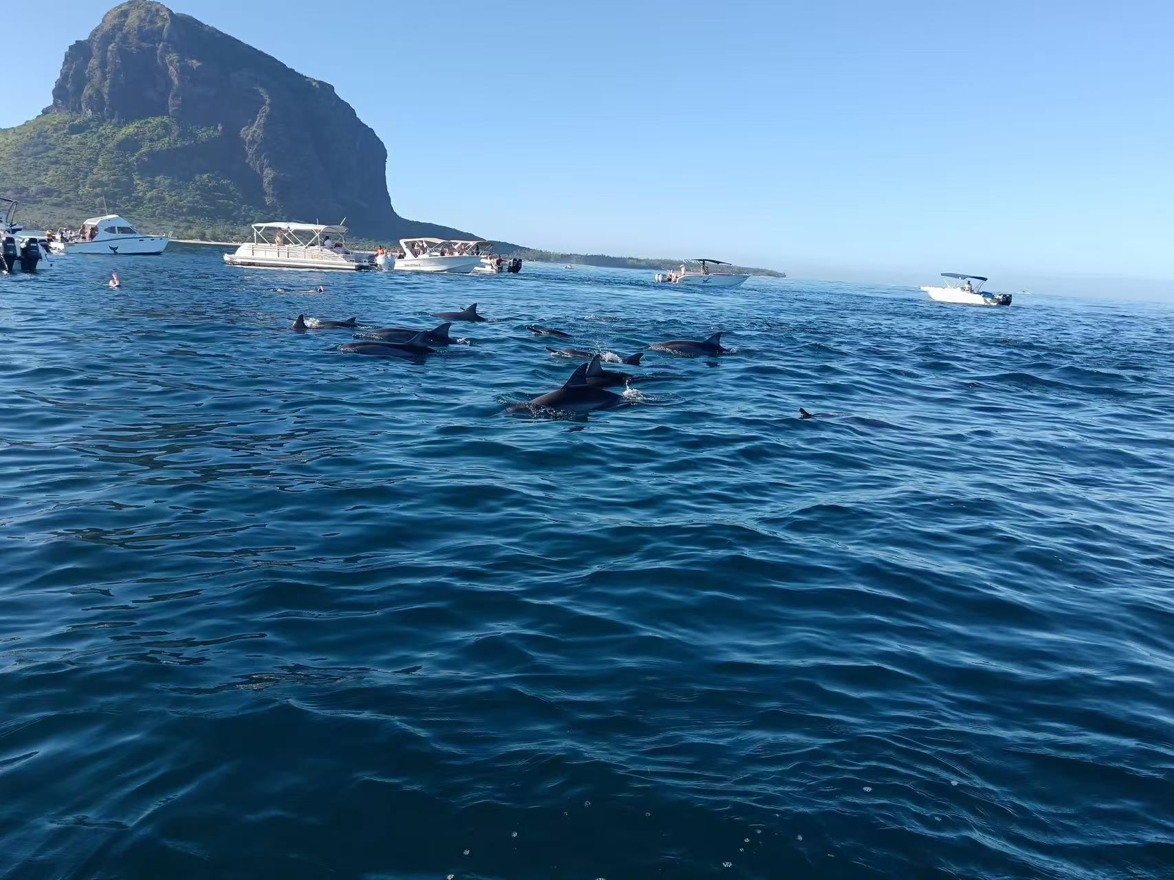 毛里求斯【機場接送服務】