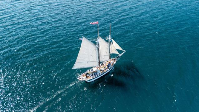 Thành phố Traverse: Chuyến du thuyền nếm rượu trên Schooner Manitou