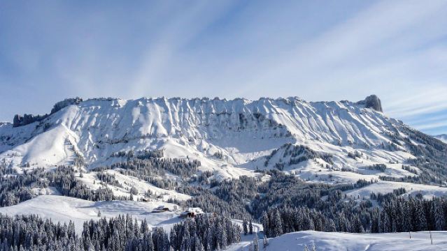 瑞士蘇黎世+伯爾尼老城漫步+聯邦宮外觀+玫瑰園｜新年明星路線