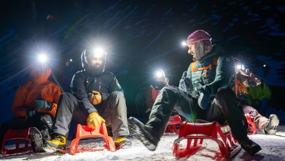 Night sledding guided tour from Interlaken
