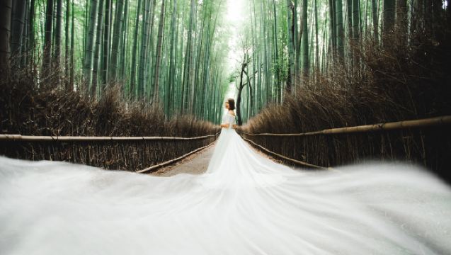 Travel photos of Gion, Kyoto, Japan[Kyoto & Nara 1-Day Plan]