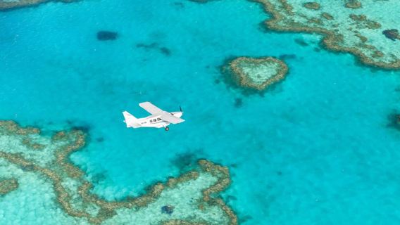 Passeio de um dia para a Grande Barreira de Corais de Hardy nas Ilhas Whitsunday - Visita à Praia de Airlie e ao romântico Recife em Forma de Coração