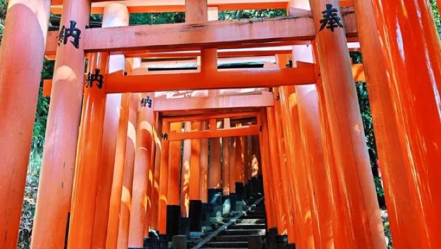 1-day tour to Kyoto Gyoen National Garden + Fushimi Inari Taisha + Shimogamo Shrine