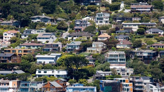 Amerika San Francisco: Sausalito & Muir Ormanı Yarım Günlük Tur