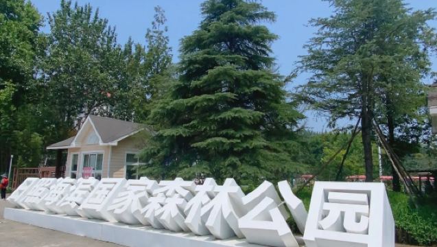 日照趕海拾貝碧海揚帆快艇出海之旅