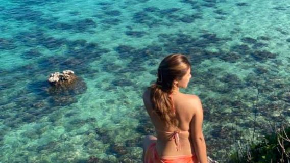 Koh Samui: Lặn Biển Đảo Koh Tan & Koh Mudsum (Đảo Heo) Tùy Chọn Bằng Thuyền Cao Tốc Hoặc Thuyền Longtail