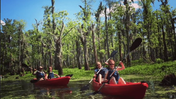 New Orleans: Manchac Swamp Wildlife Kayaking Tour
