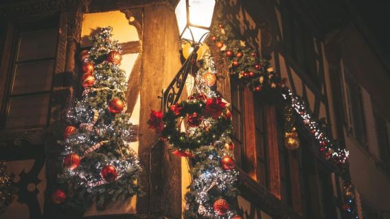 Strasbourg Christmas market tour and culinary city tour with tastings