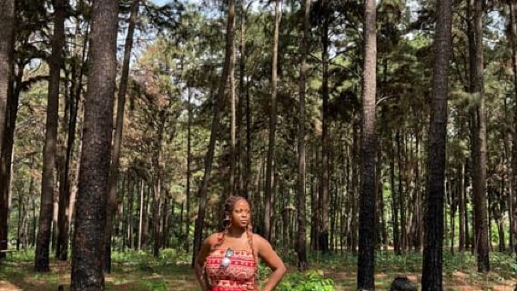 Enugu: City Tour with Ngwo Pine Forest and Waterfall